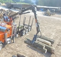 Stationary Loader lifting logs